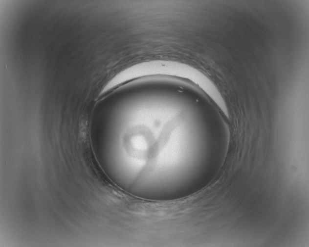 X0000054410033200508192043