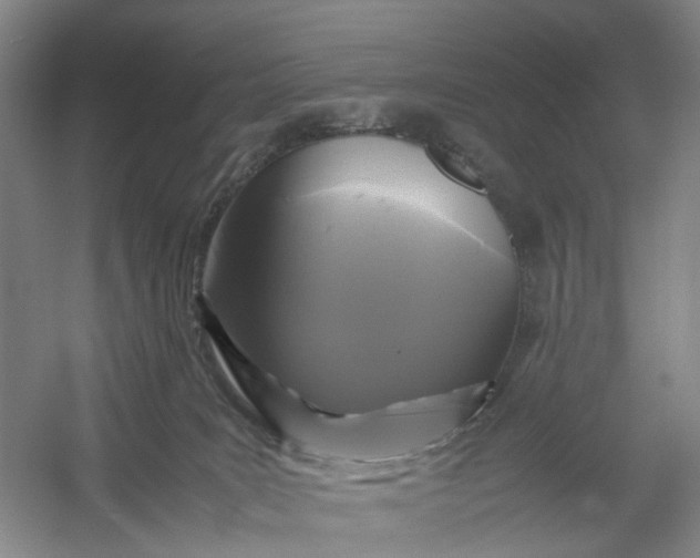 X0000054410035200508192043