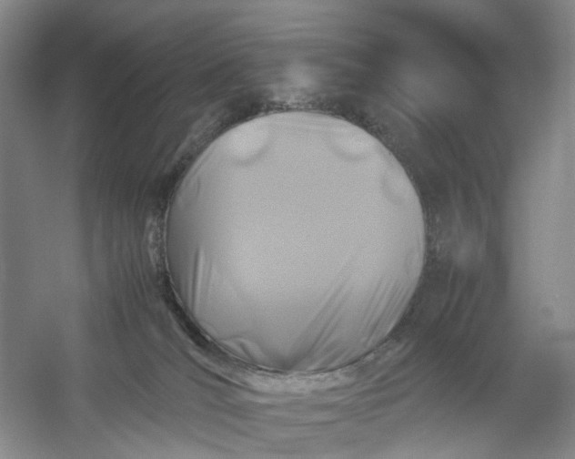 X0000054410036200508192043