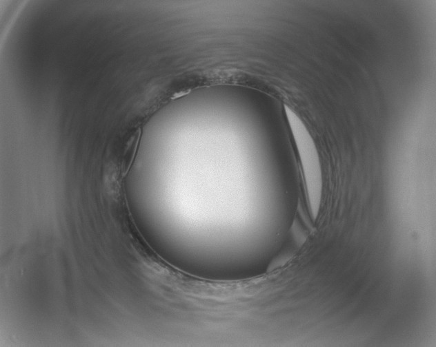 X0000054410037200508192043