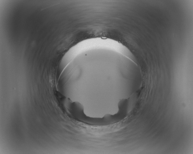 X0000054410039200508192043