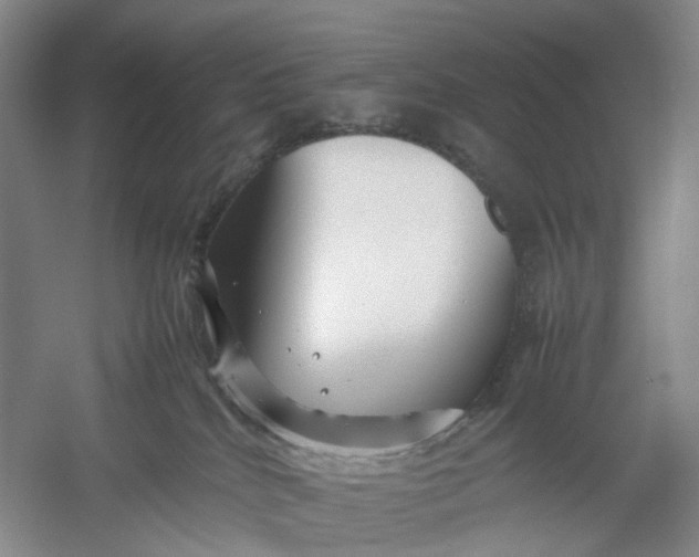 X0000054410040200508192043