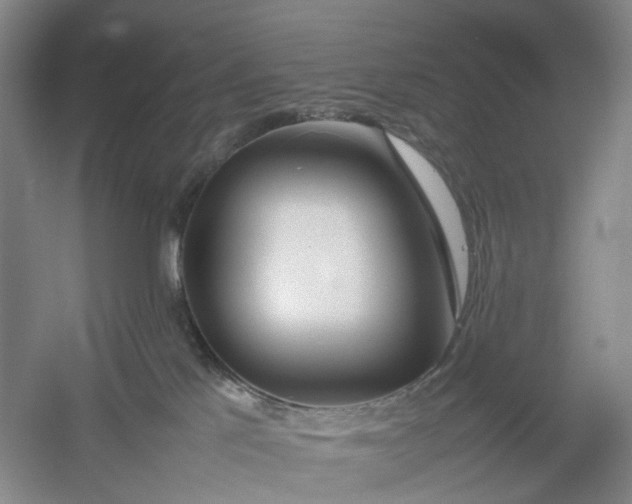 X0000054410041200508192043