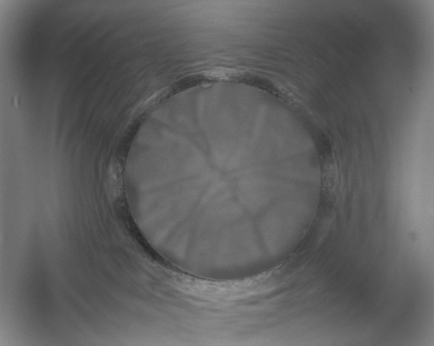 X0000054410043200508192043