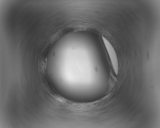 X0000054410045200508192042