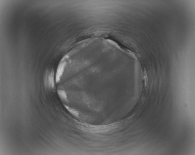 X0000054410046200508192042