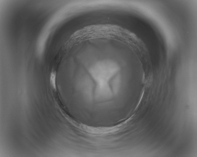 X0000054410047200508192042