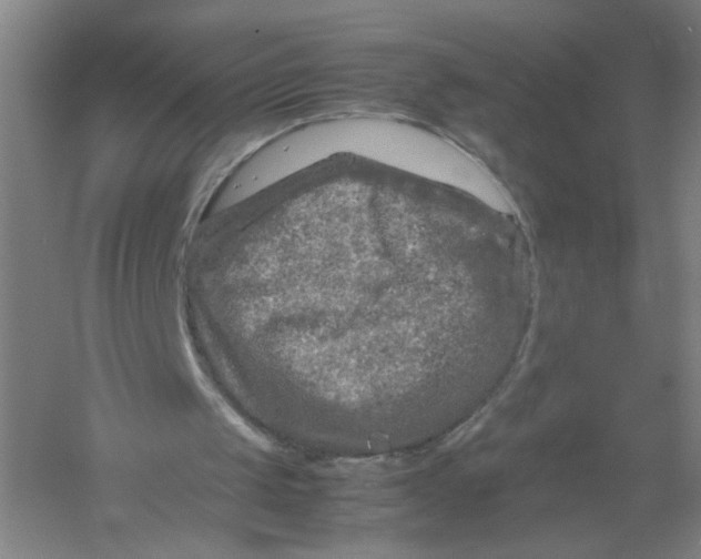X0000054410049200508192042