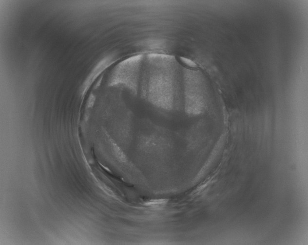 X0000054410051200508192042