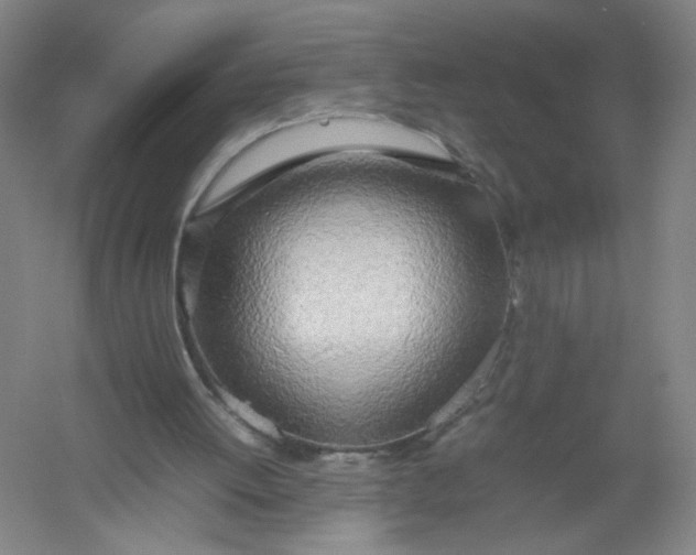 X0000054410052200508192042
