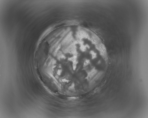 X0000054410053200508192042