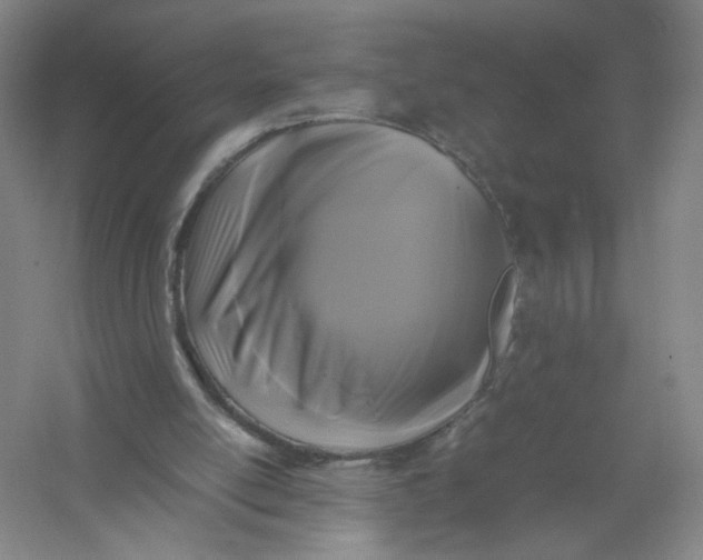X0000054410054200508192042