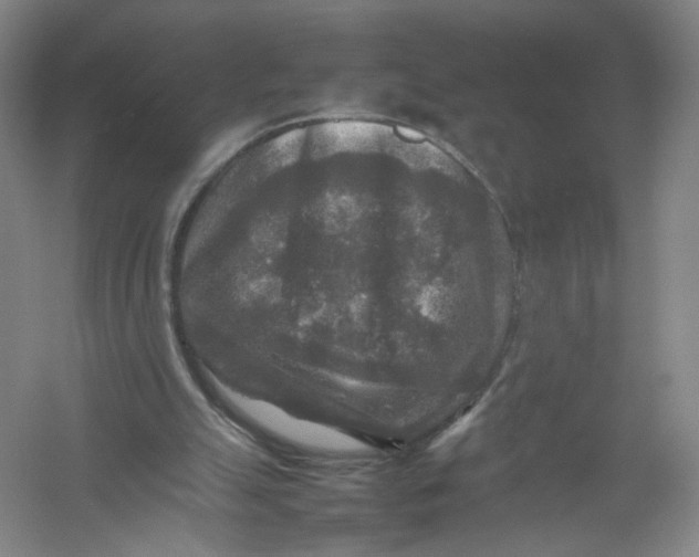 X0000054410055200508192042