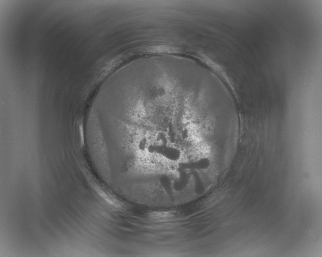 X0000054410061200508192042