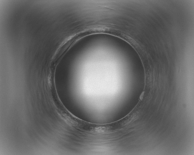 X0000054410064200508192042