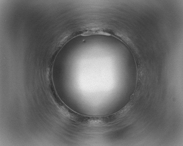 X0000054410066200508192042
