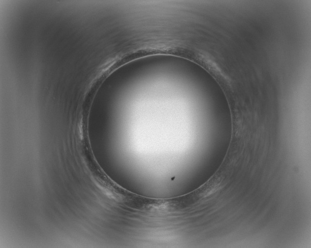 X0000054410068200508192042