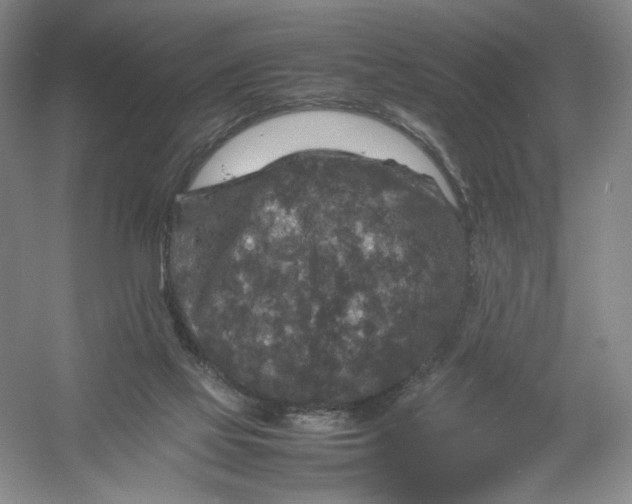 X0000054410069200508192042
