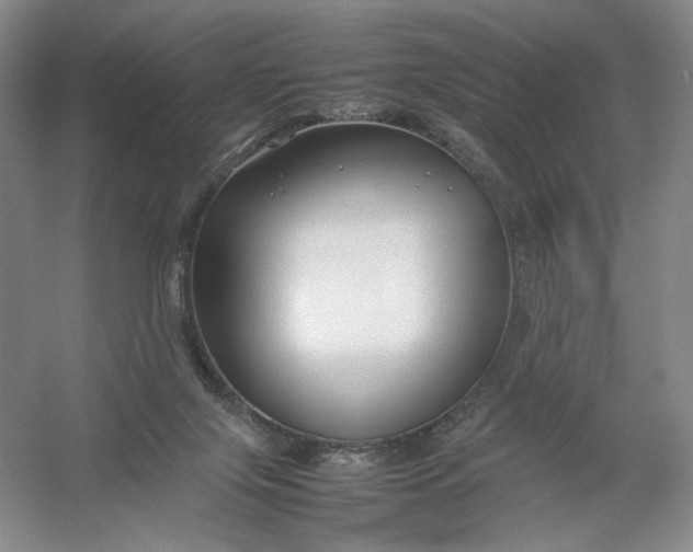 X0000054410071200508192042