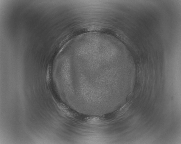 X0000054410074200508192042