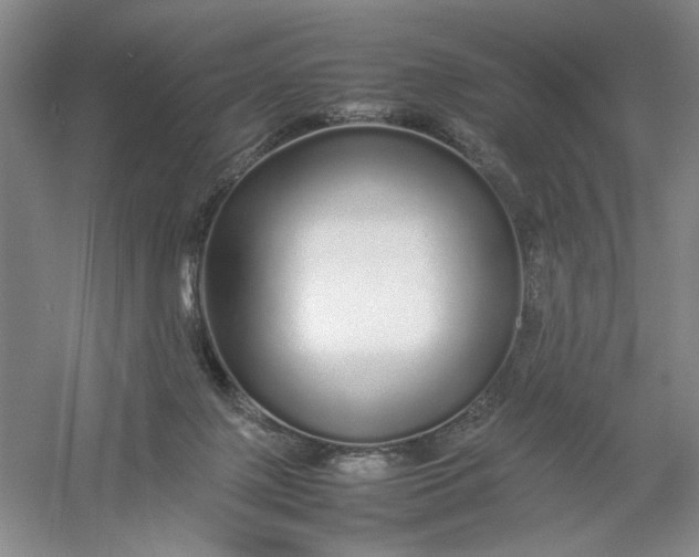 X0000054410075200508192042