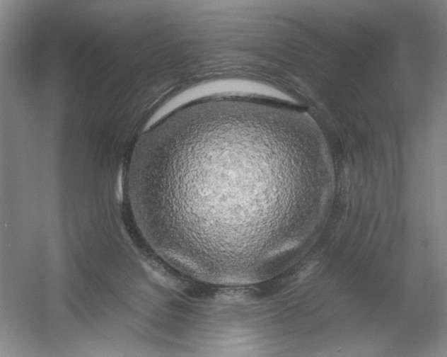 X0000054410076200508192042