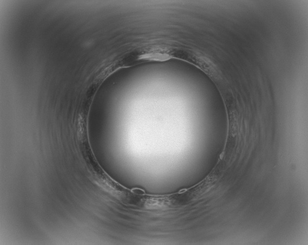 X0000054410077200508192042