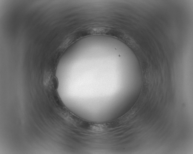 X0000054410079200508192042