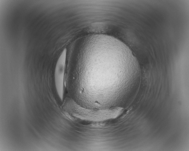 X0000054410080200508192042