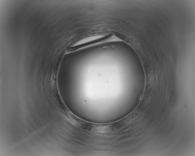 X0000054410081200508192042