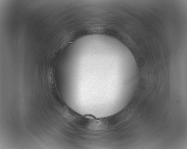 X0000054410083200508192042