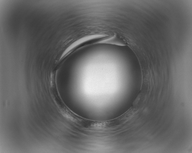X0000054410084200508192042