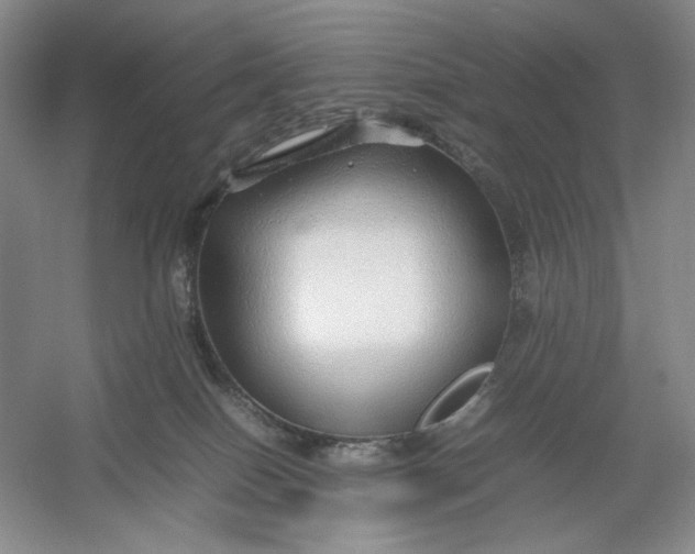 X0000054410086200508192042