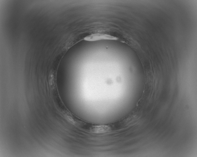 X0000054410087200508192042
