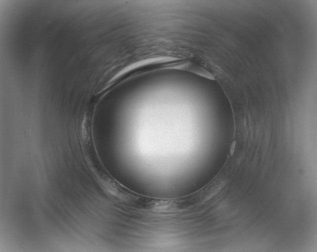 X0000054410088200508192042