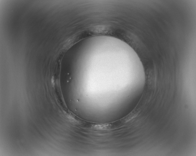 X0000054410089200508192042