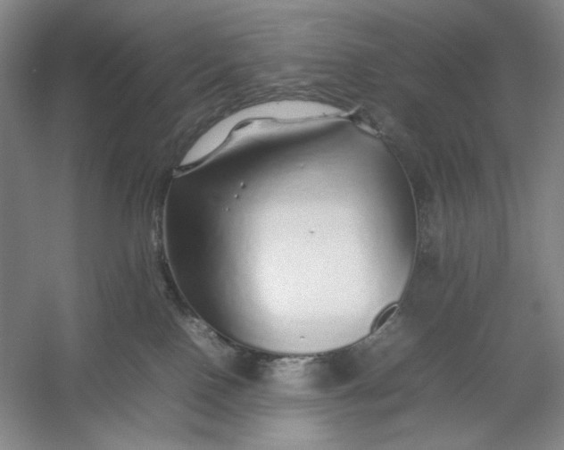 X0000054410090200508192042