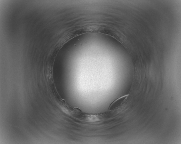 X0000054410091200508192042