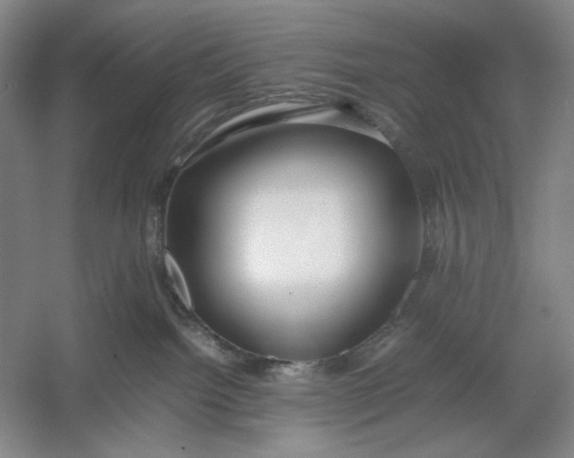 X0000054410092200508192042