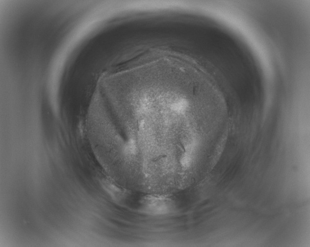 X0000054410093200508192042