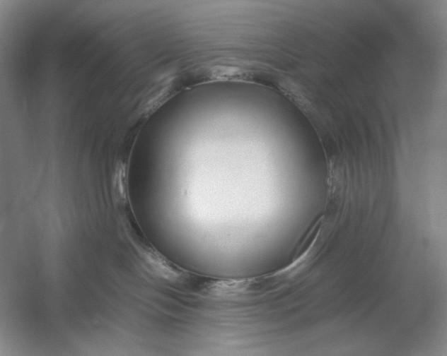 X0000054410094200508192042