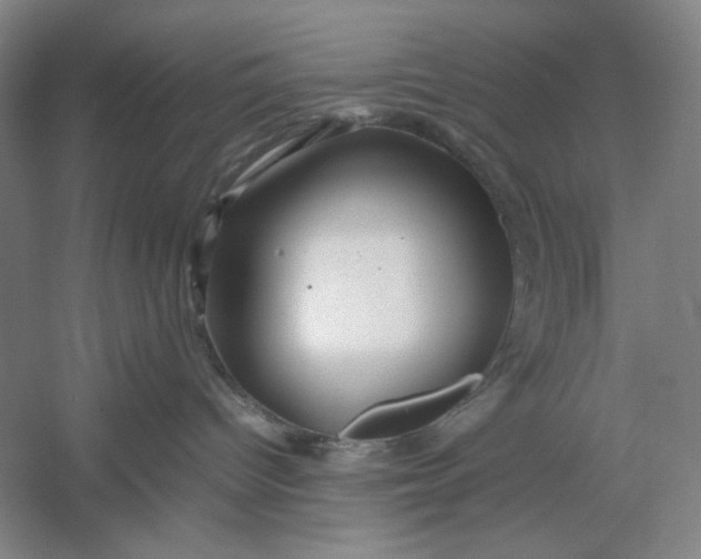 X0000054410096200508192042