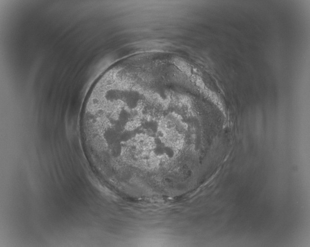 X0000054410099200508192042