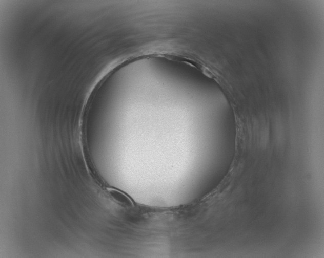 X0000054410100200508192042