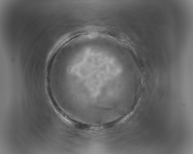 X0000054410101200508192042