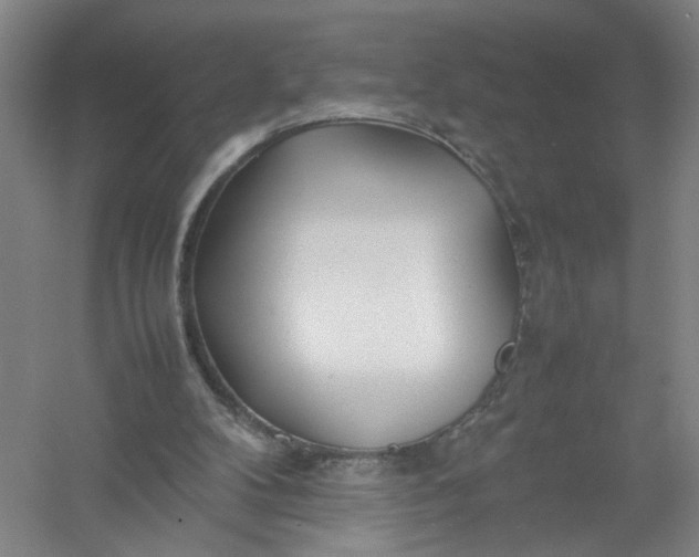X0000054410104200508192041