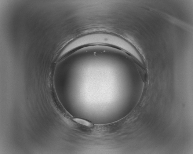 X0000054410105200508192041