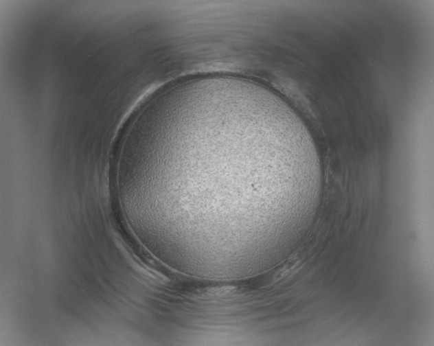 X0000054410108200508192041