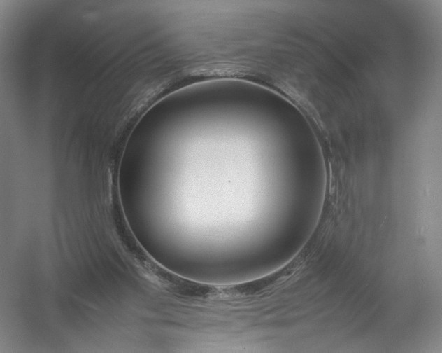 X0000054410109200508192041