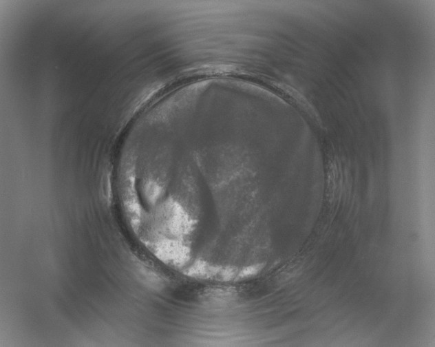 X0000054410110200508192041